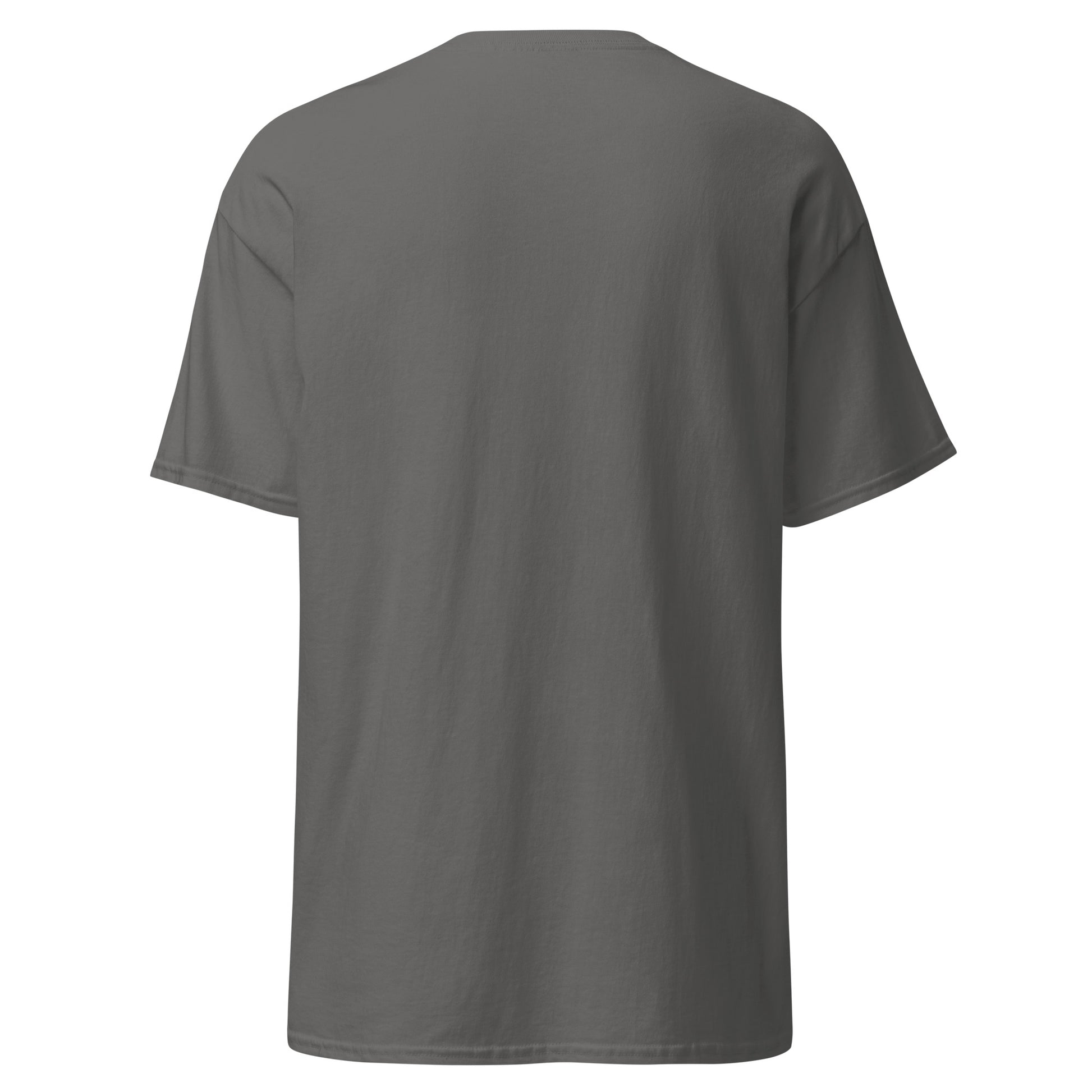 Unisex classic tee in grey, back view, 100% cotton, minimalist style, perfect for layering streetwear outfits, trendy and eco-friendly fashion.