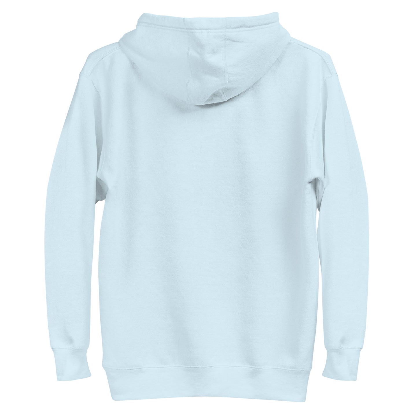 Back view of light blue unisex hoodie, featuring cozy design with eco-friendly materials. Ideal for sustainable fashion lovers.