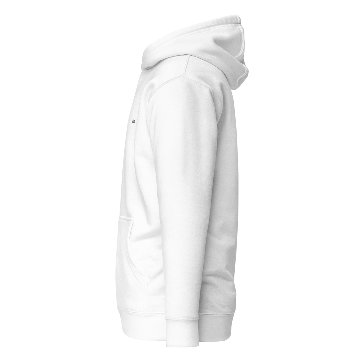 All I want is WIFI Unisex Hoodie