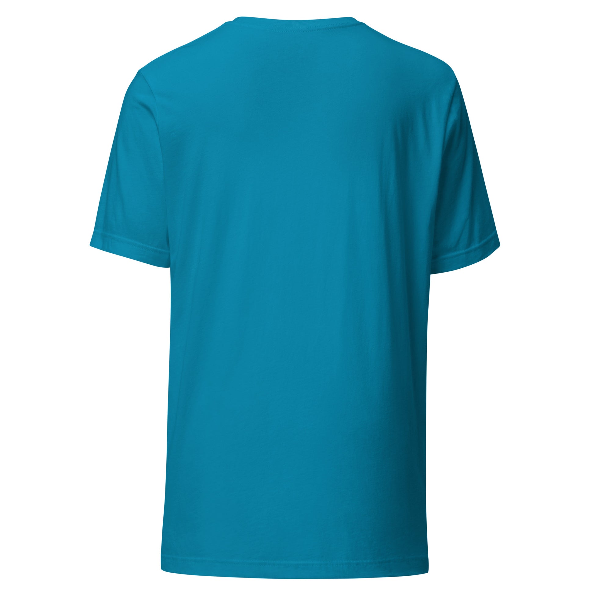 Unisex blue t-shirt back view, featuring eco-friendly fabric and minimalist design. Perfect for trendy and sustainable fashion lovers.